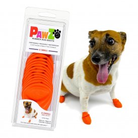 Schoenen Pawz Hond Oranje XS