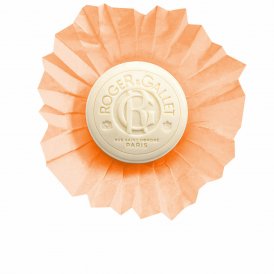 Roger & Gallet Naturlig Såpestykke ŒILLET 100 g
