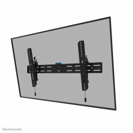 Neomounts TV-Montering 12597273000 43-98" 43" 86" 100 kg Svart Stål