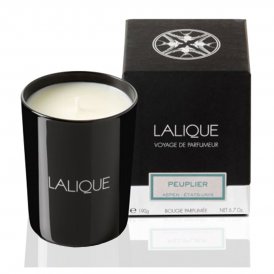 Lalique Doftljus