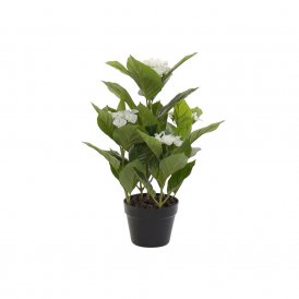 Decorative Plant DKD Home Decor PVC (47 x 45 x 63 cm)