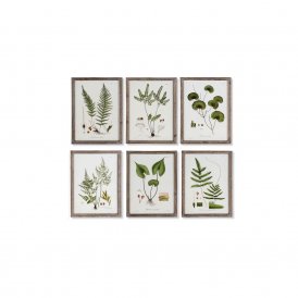 Painting DKD Home Decor Botanical plants (30 x 1.8 x 40 cm) (6 pcs)