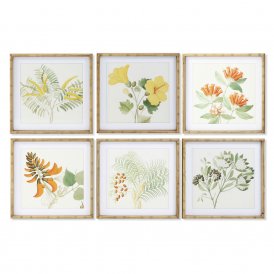 Painting DKD Home Decor 50 x 2,8 x 50 cm Shabby Chic Botanical plants (6 Pieces)