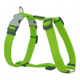 Hundesele rød Dingo Glatt 25-39 cm Lime