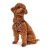 Hundesele Hunter Hilo-Comfort Rød M/L (58-63 cm)