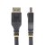 Startech DisplayPort-Kabel DP14A-10M-DP-CABLE Svart 10 m Gull