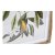 Painting DKD Home Decor Bird 55 x 2,5 x 70 cm Tropical Birds (4 Pieces)