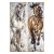 Painting DKD Home Decor Horse (50 x 3 x 150 cm) (2 Units)