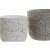 Set of pots DKD Home Decor Grey Cement White Flowers Shabby Chic (2 Units) (17 x 17 x 15 cm)