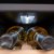Cecotec Vinotéka GrandSommelier 1250 12 flasker LED svart glass trehyller touch display