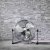 Cecotec Gulvvifte Cecotec EnergySilence 4500 GyroPro 110 W
