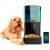Cecotec Automatisk mater Pumba 6000 Purrfect Meal Smart Vision 6 L Svart Rustfritt stål
