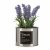 Ibergarden Dekorativ Plante Ibergarden Metall Plast Blikkboks Lavendel 10 x 18 x 10 cm (6 enheter)