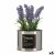Ibergarden Dekorativ Plante Ibergarden Metall Plast Blikkboks Lavendel 10 x 18 x 10 cm (6 enheter)