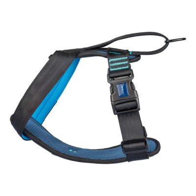 Hundesele Company of Animals Carsafe Crash Tested Blå 34 cm Reise XS