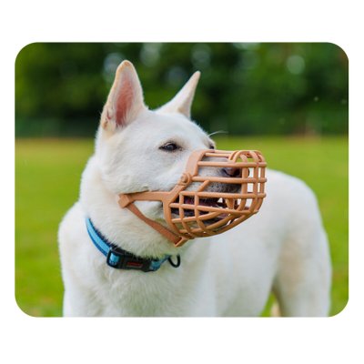 Company of Animals Munnkurv Brun 4