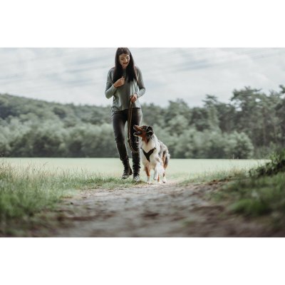 Hunter Hundeleder Brun 2 m Justerbar Lær