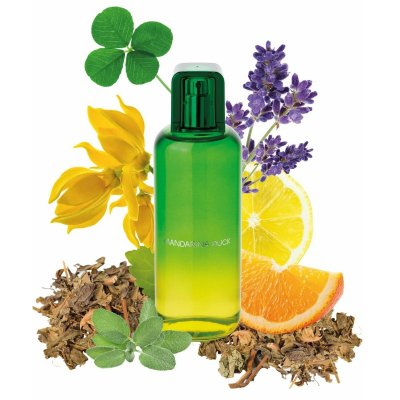 Mandarina Duck Herre parfyme The Mandariners EDT 100 ml