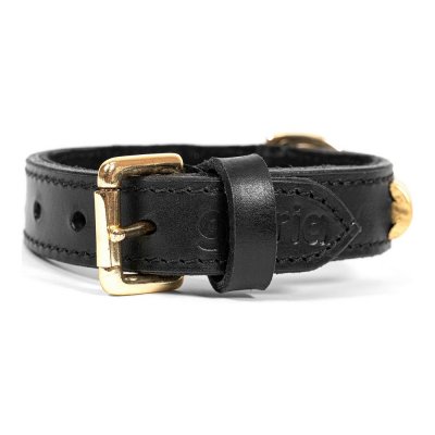 Hundehalsbånd Gloria Duna Svart Gyllen (40 x 2 cm)