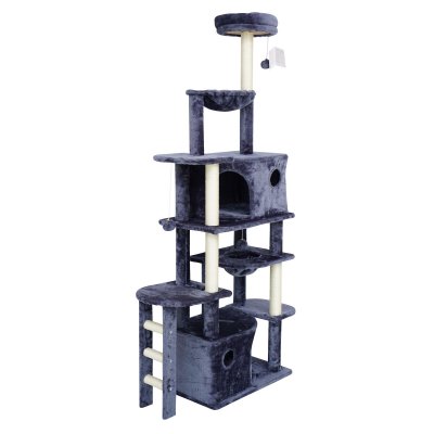 Gloria Katteskrapetre Yamuna