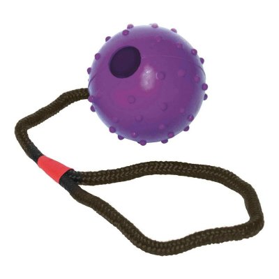 Gloria Hundetyggeleke Med streng Gummi (7 cm) x 30