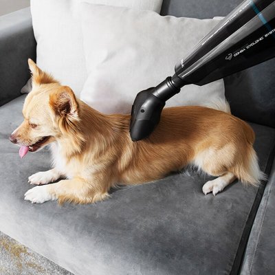 Cecotec Syklonisk Håndholdt Støvsuger Conga Immortal ExtremeSuction Animal Hand 0, 5 L 22, 2 V Svart Plast