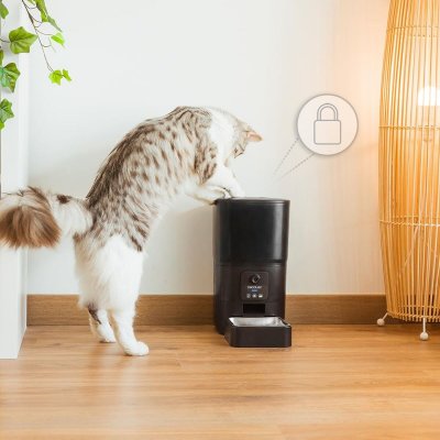 Cecotec Automatisk mater Pumba 6000 Purrfect Meal Smart Vision 6 L Svart Rustfritt stål