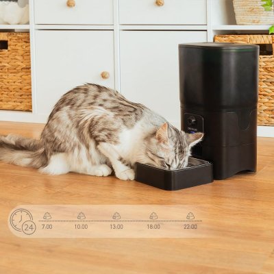 Cecotec Automatisk mater Pumba 6000 Purrfect Meal Smart Vision 6 L Svart Rustfritt stål
