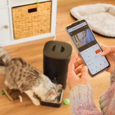 Cecotec Automatisk mater Pumba 6000 Purrfect Meal Smart Vision 6 L Svart Rustfritt stål