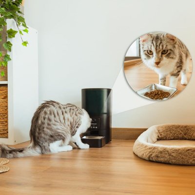 Cecotec Automatisk mater Pumba 6000 Purrfect Meal Smart Vision 6 L Svart Rustfritt stål