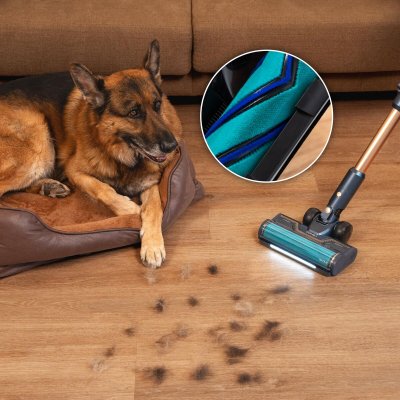 Cecotec Stick Støvsuger RX70 AquaPet Flex 800 W Grå Aluminium