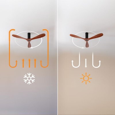 Cecotec takvifte EnergySilence 5400 Classic 40W Ø132cm 3 blader 6 hastigheter Svart Tre